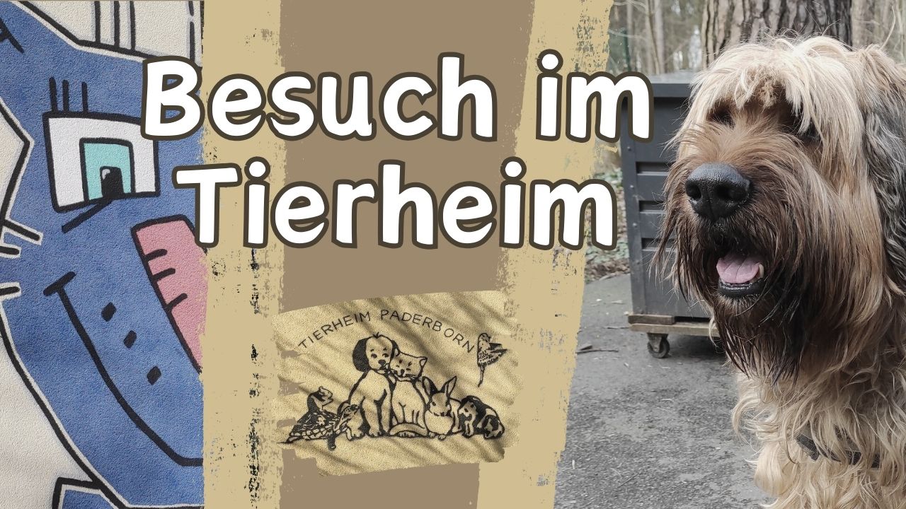 Besuch im Tierheim