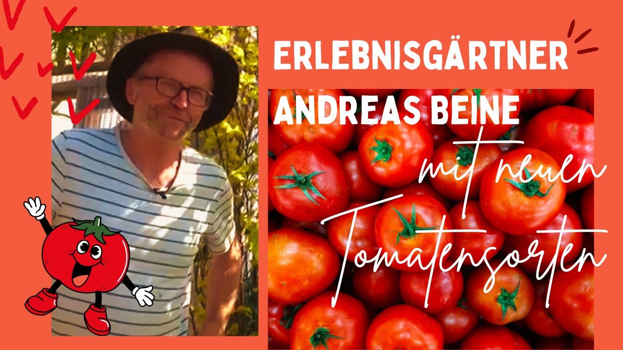 Erlebnisgärtner Beine mit neuen Tomatensorten