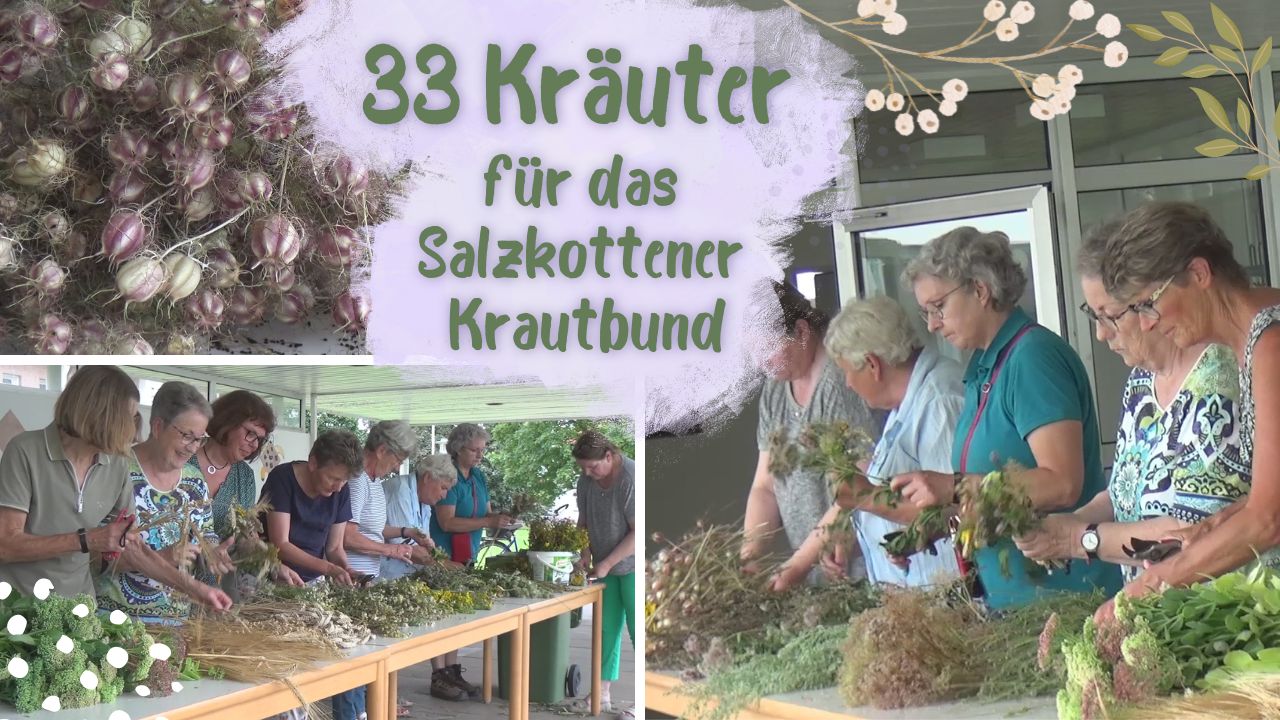 33 Kräuter für das Salzkottener Krautbund