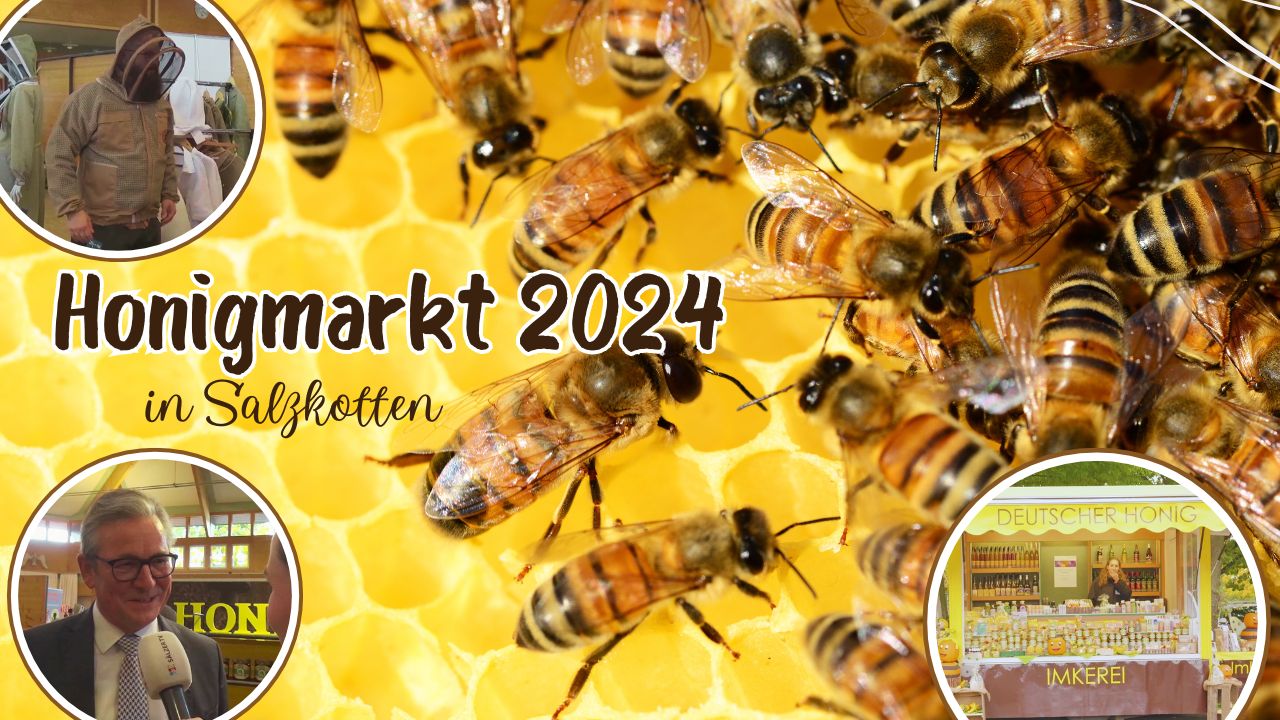 Honigmarkt 2024 in Salzkotten