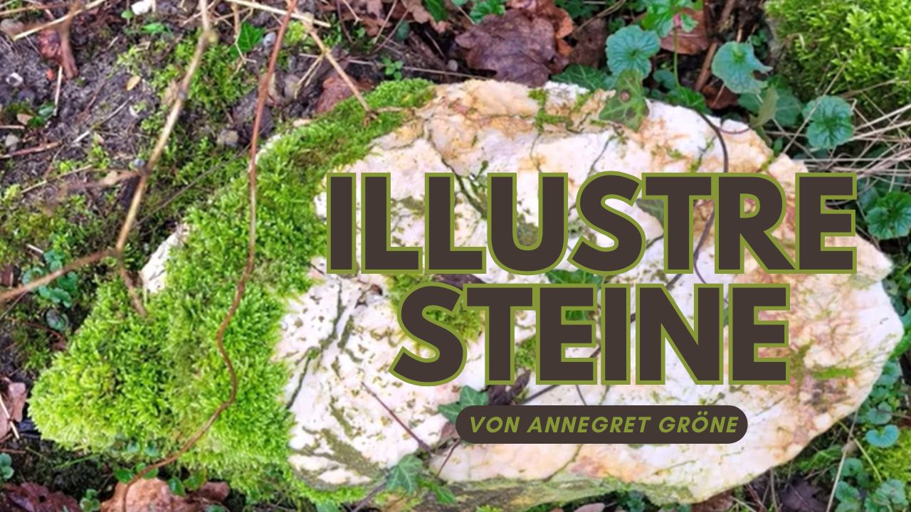 Illustre Steine
