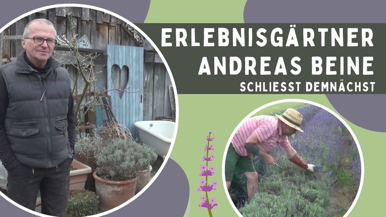 Erlebnisgärtner Andreas Beine schließt demnächst