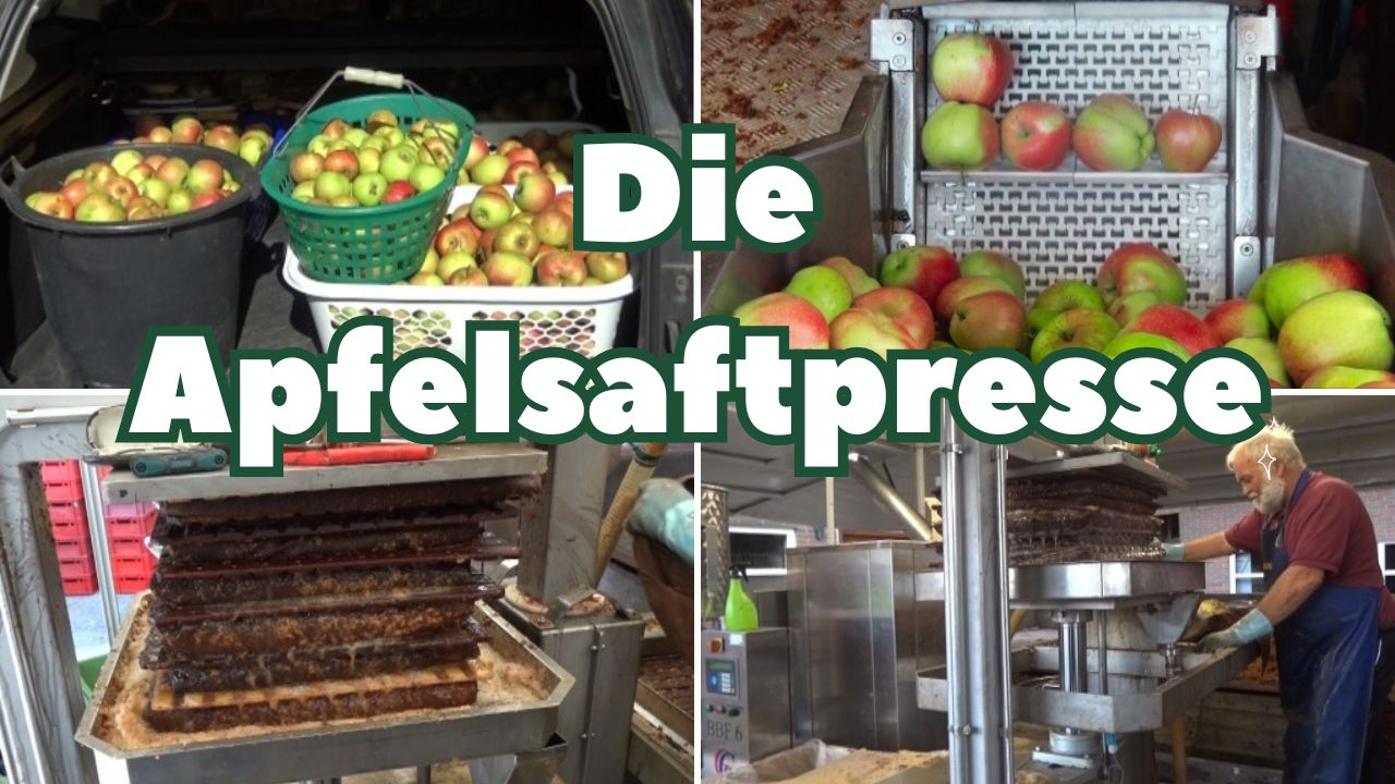 Die Apfelsaftpresse