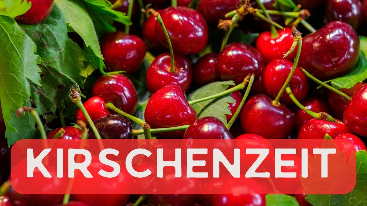 Kirschenzeit