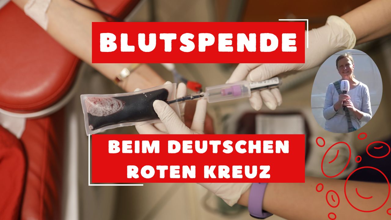 Blutspende beim DRK