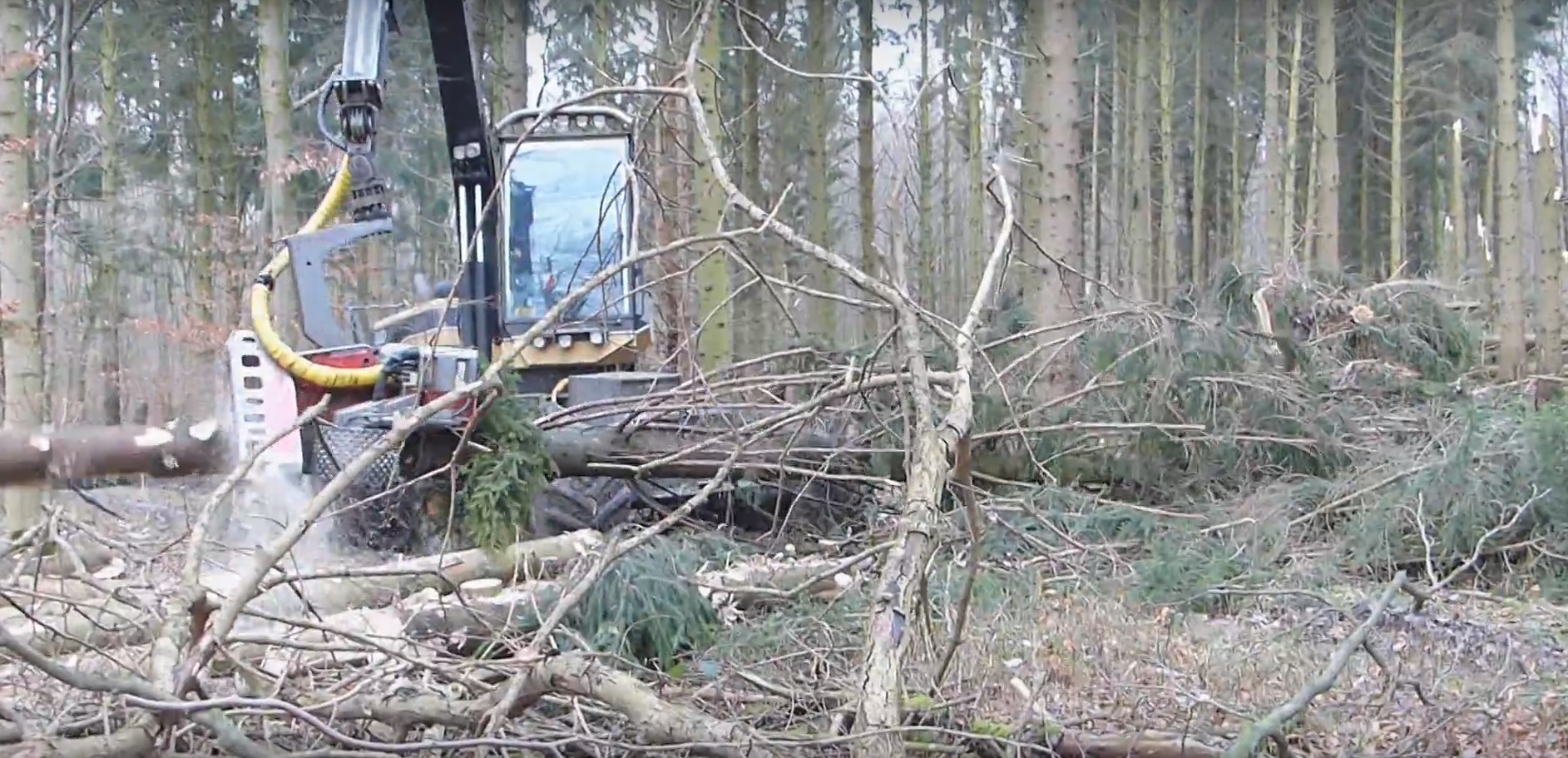 Sturmtief Friederikes Nachlass