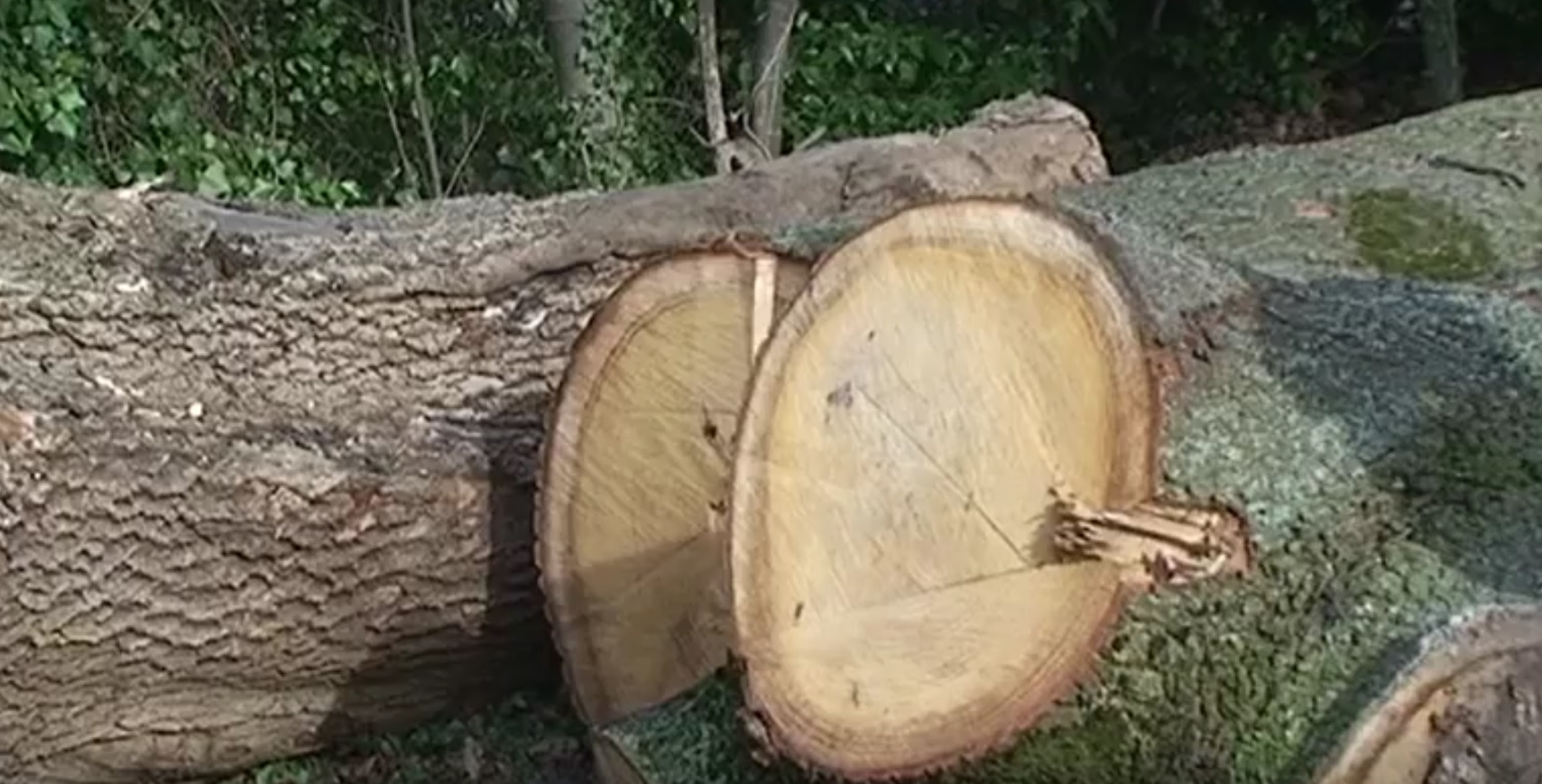 Mit Holz gestalten