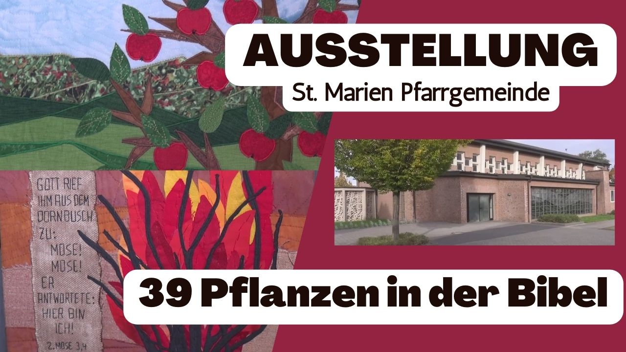 Ausstellung – 39 Pflanzen in der Bibel