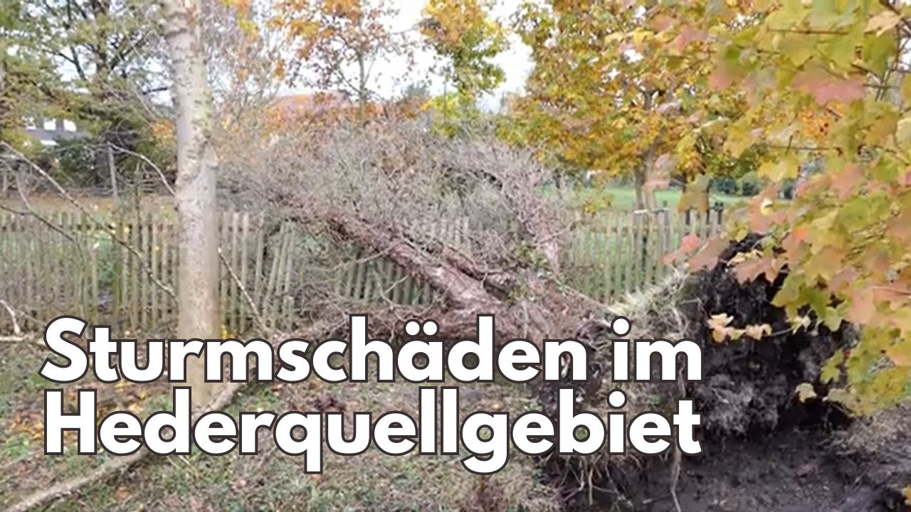 Sturmschäden im Hederquellgebiet