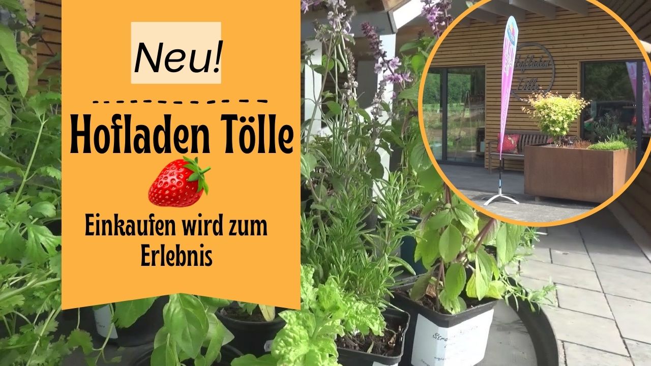 Hofladen Tölle – wo Einkaufen zum Erlebnis wird