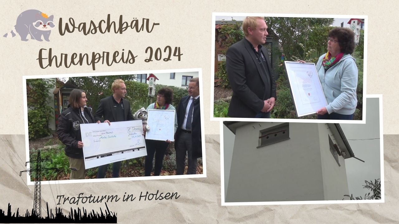 Waschbärpreis 2024