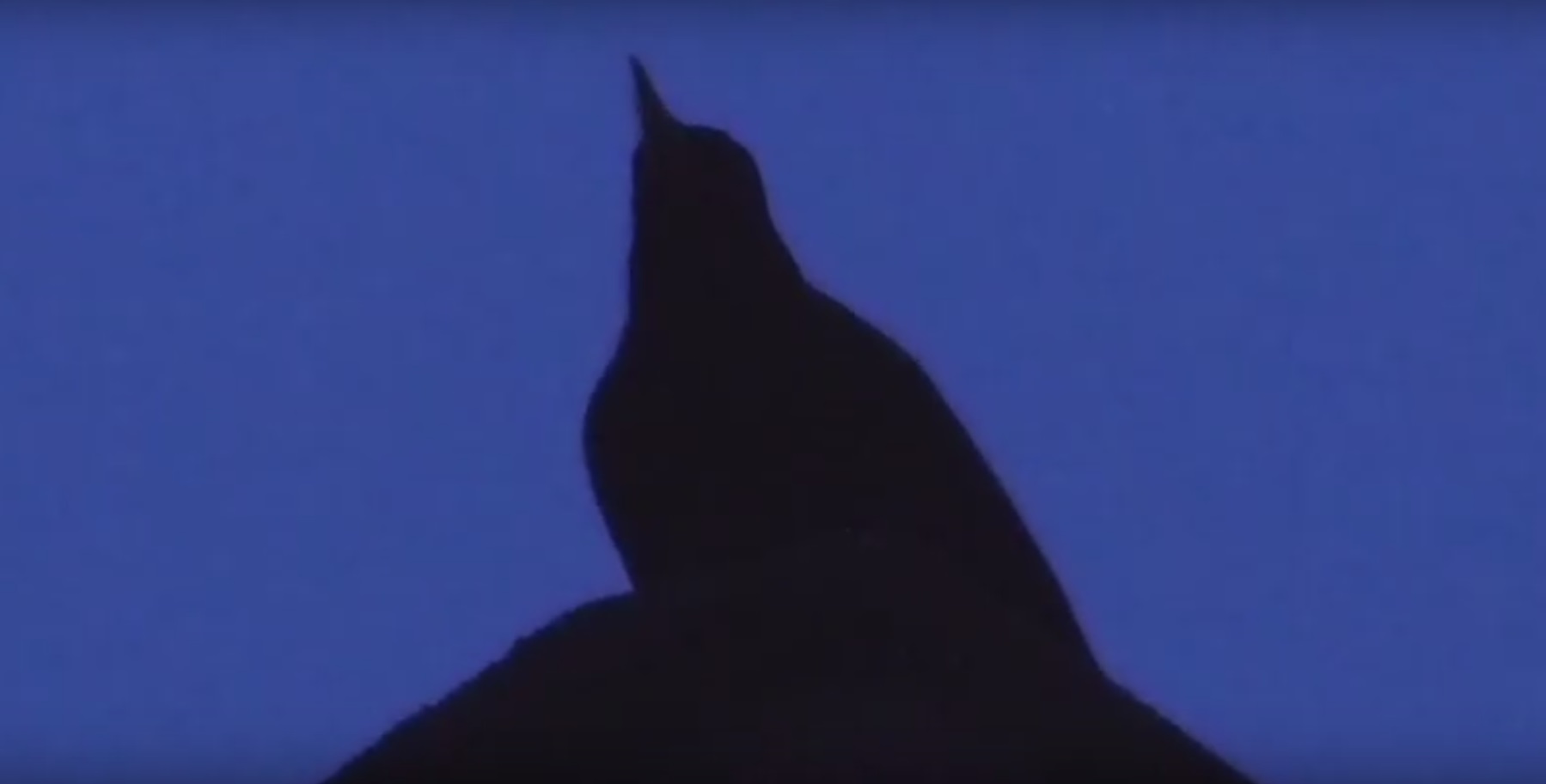 Sälzer Solisten am frühen Morgen