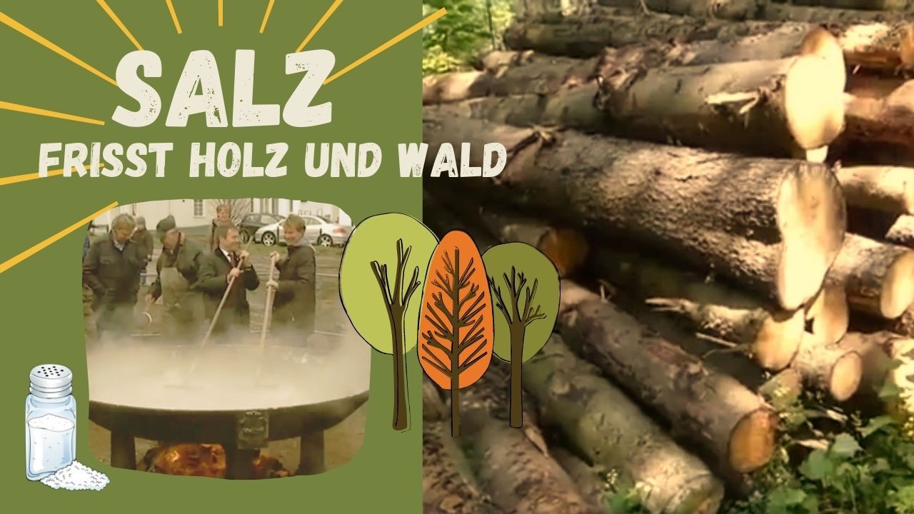 Salz frisst Holz und Wald