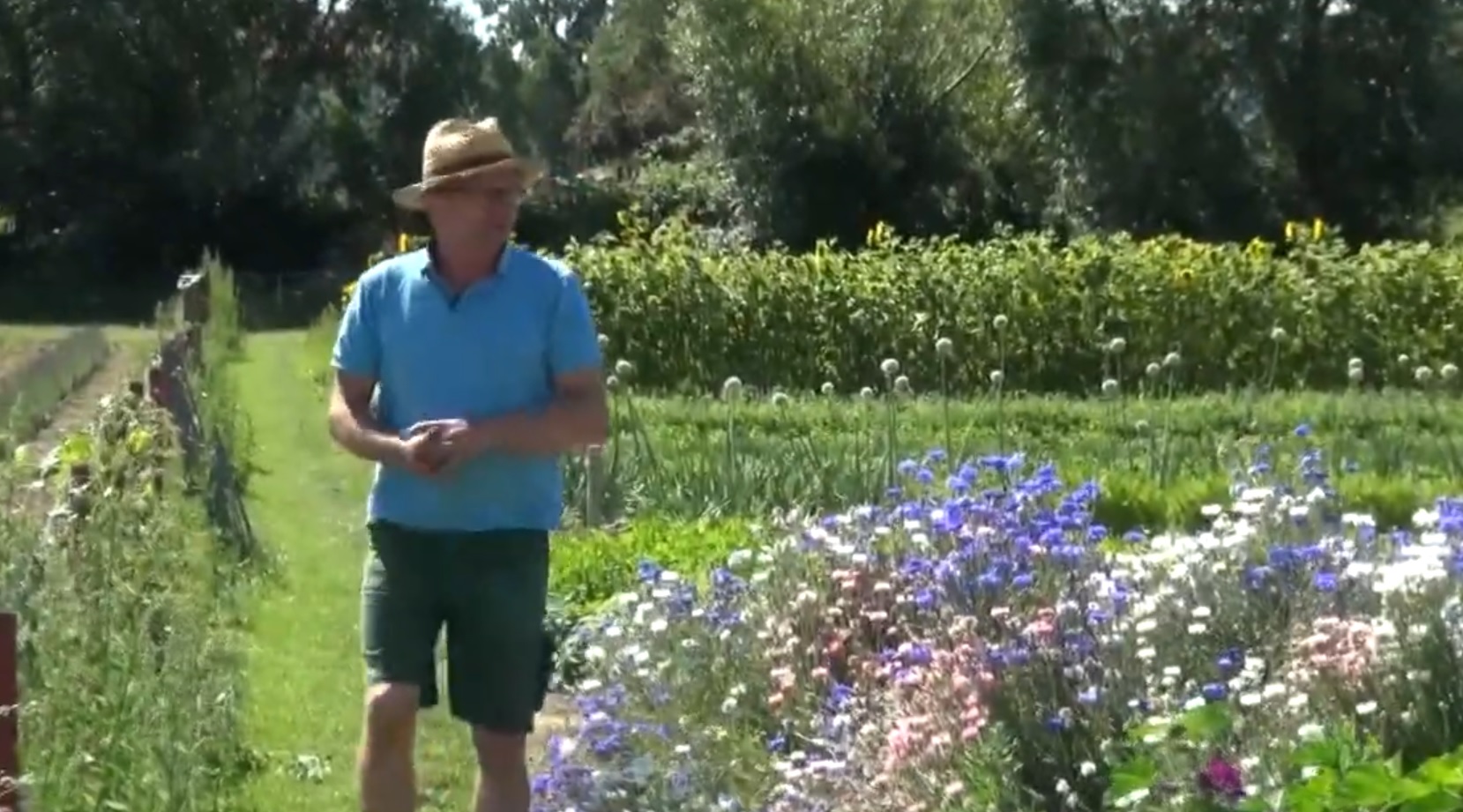 Der neue Kräutergarten von Andreas Beine