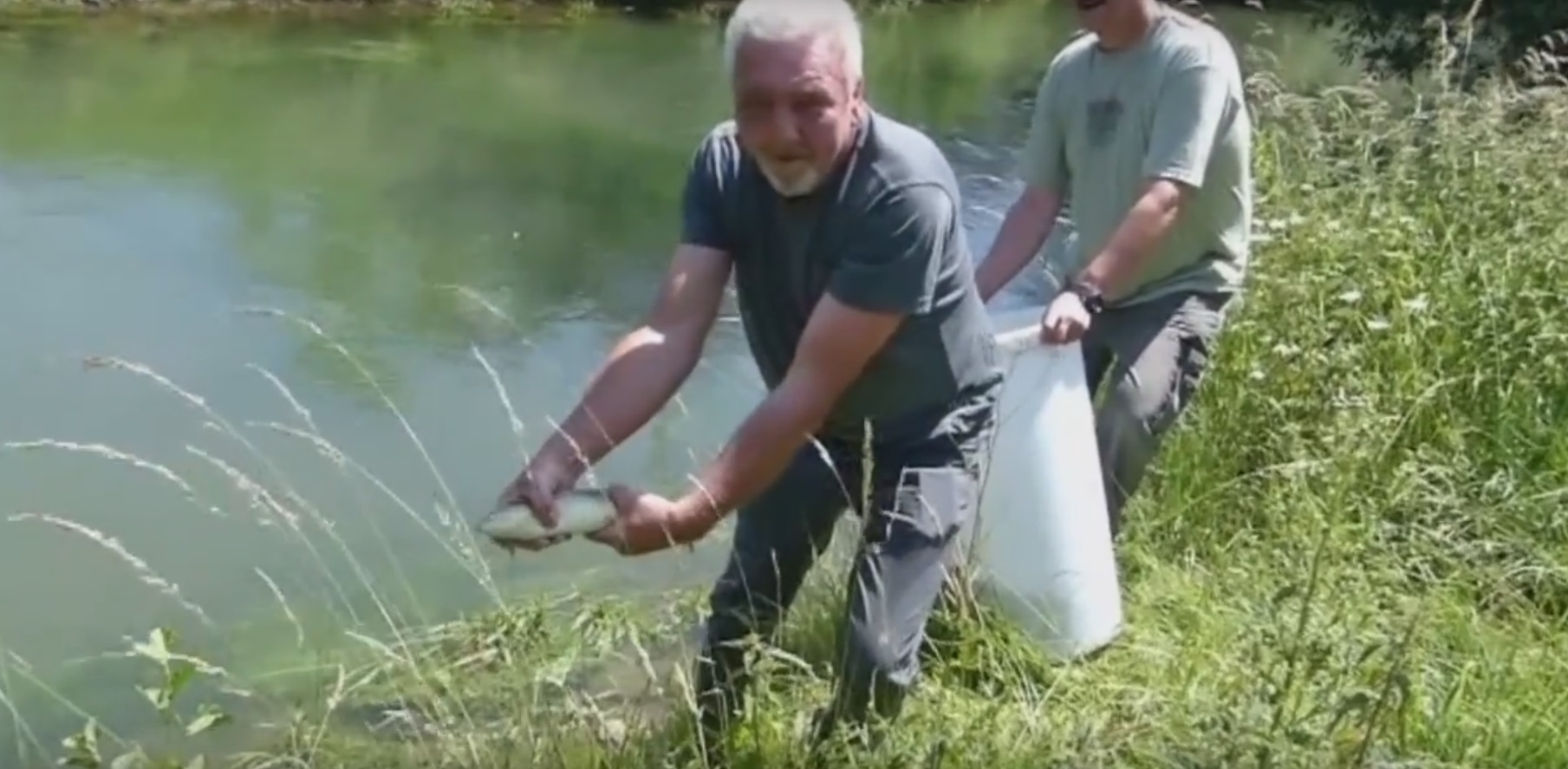 Neue Fische für die Heder