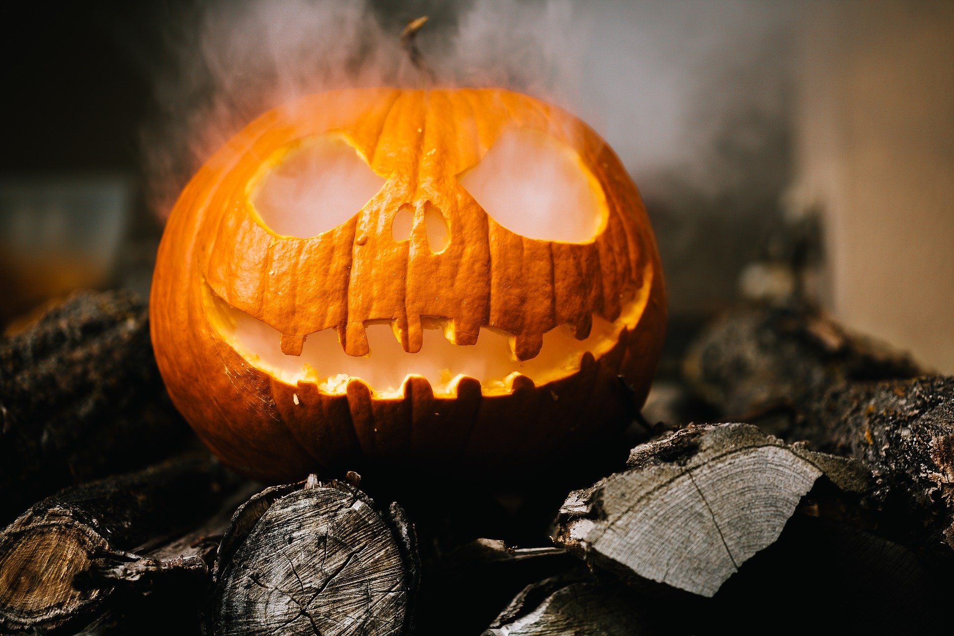 Halloween im Scharmeder Gruselgarten