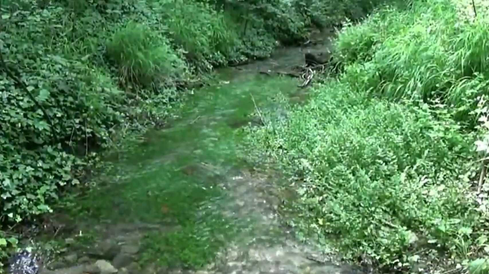 Gefahr für das Wasser: Hohe Nitratwerte