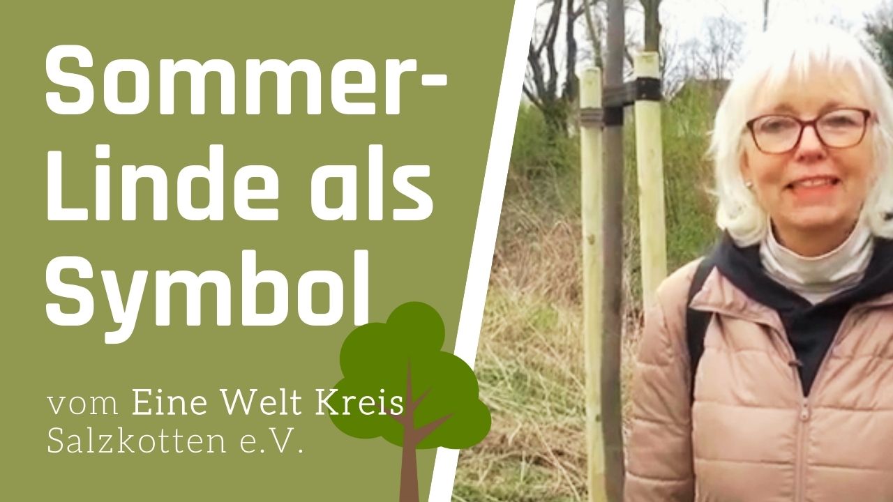Sommerlinde als Symbol