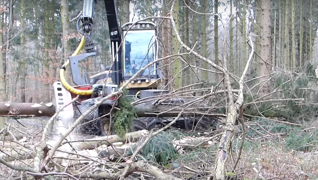 Sturmschäden im Stadtwald