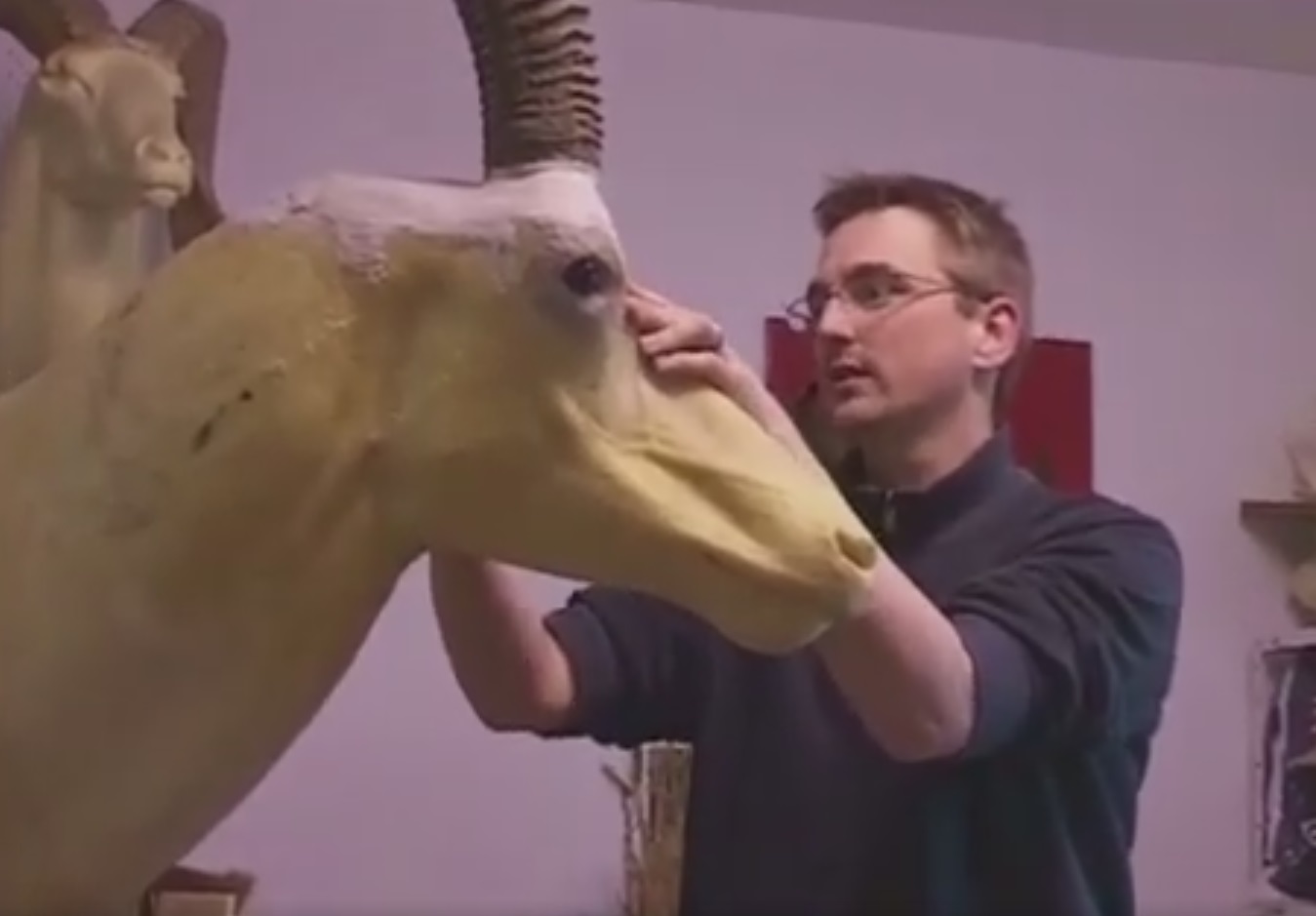 Archivperlen: Besuch beim Tierpräparator