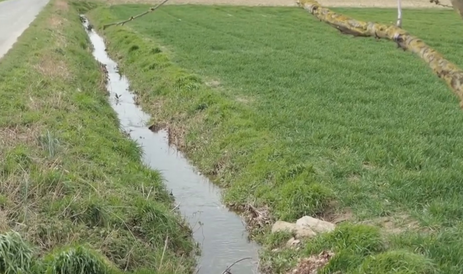 Mini-Wadi: Der Wellebach